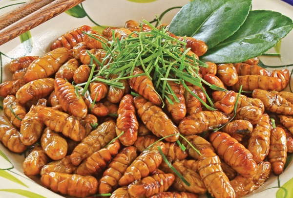 Sốc phản vệ khi ăn đuông dừa, nhộng tằm: Ai cũng cần biết những điều này để bảo vệ sức khỏe, tính mạng-4