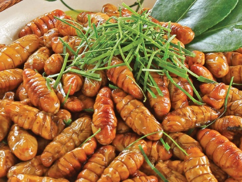 Suýt chết vì sốc phản vệ do ăn thịt gà, hải sản-2