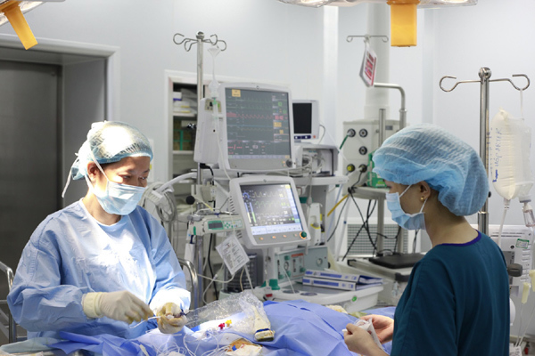 Đặt stent mạch vành, làm sao để không ‘đội’ chi phí?-1