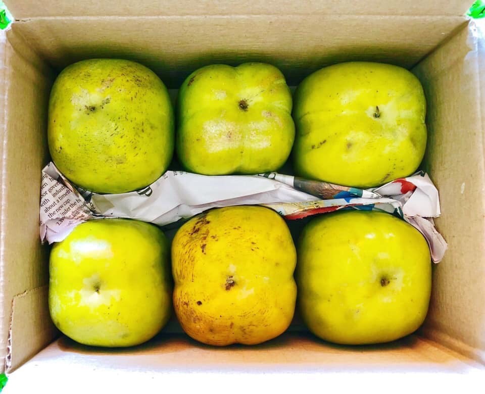 Quả hồng lòng đào trứng gà hiếm có, Hà thành hóng mua từng cân-1