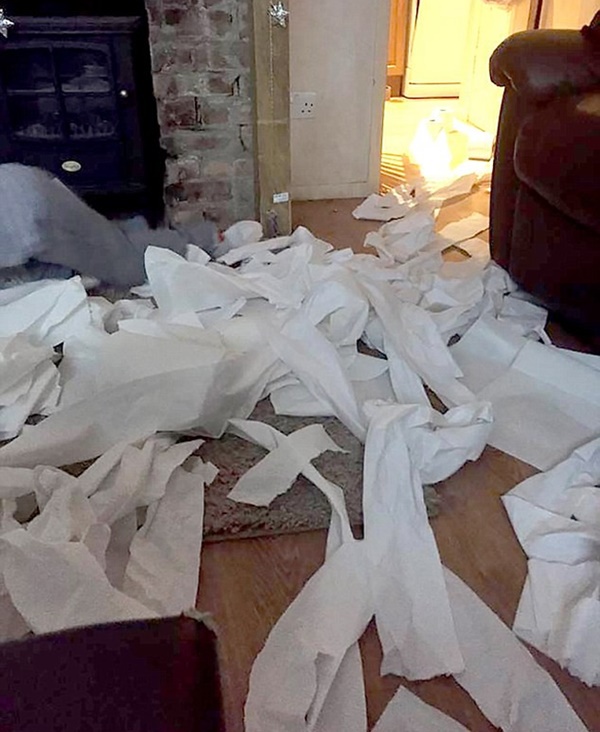 Phòng con gái ngập giấy vệ sinh bốc mùi, người mẹ bàng hoàng phát hiện sự thật đau lòng đằng sau-1