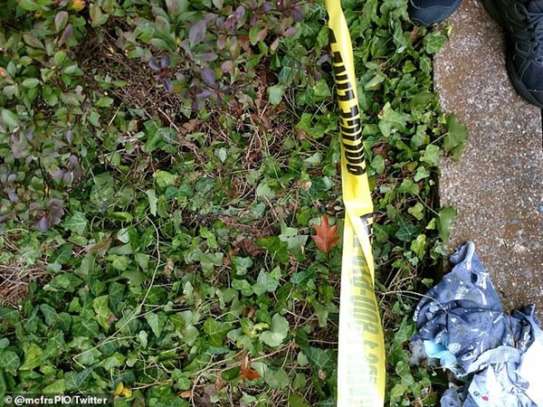 Bé trai 2 tuổi thoát chết trong gang tấc sau khi rơi xuống từ cửa sổ tầng 11, đến bác sĩ còn phải kinh ngạc vì thương tích-1