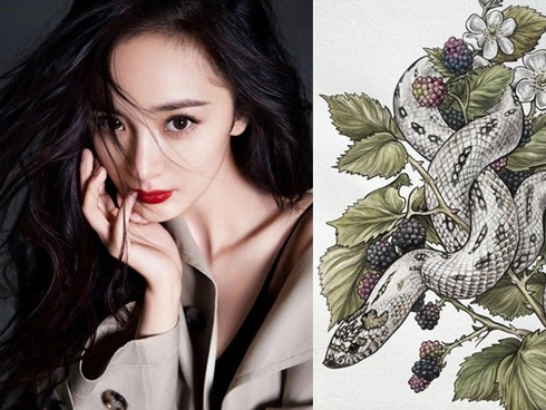 Trong số 12 con giáp, có 5 con giáp thường xuyên được quý nhân phù trợ, làm gì cũng suôn sẻ-4