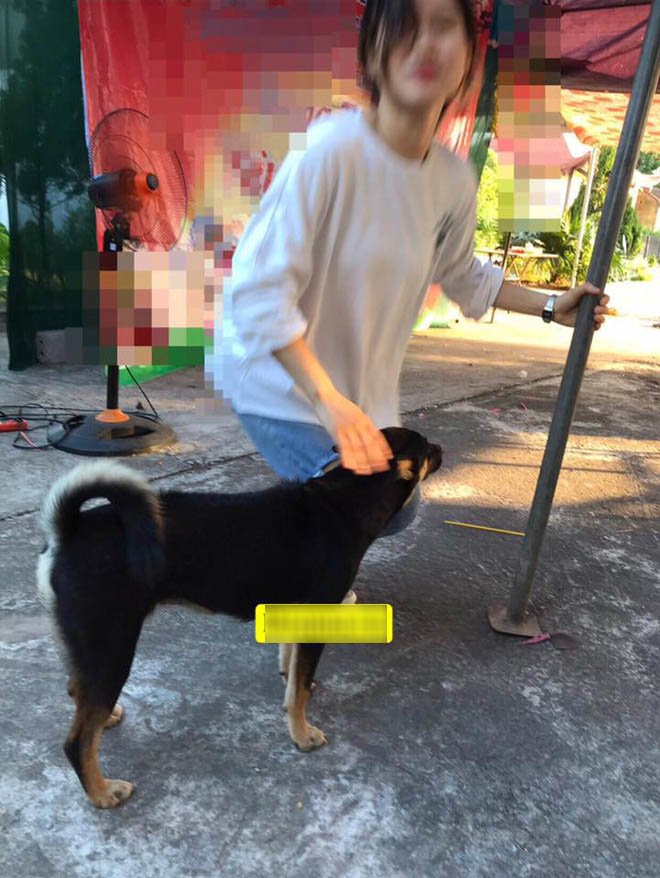 Vừa cưới xong, cô dâu thay váy, bắt taxi về mẹ đẻ đón... chó cưng sang nhà chồng-1