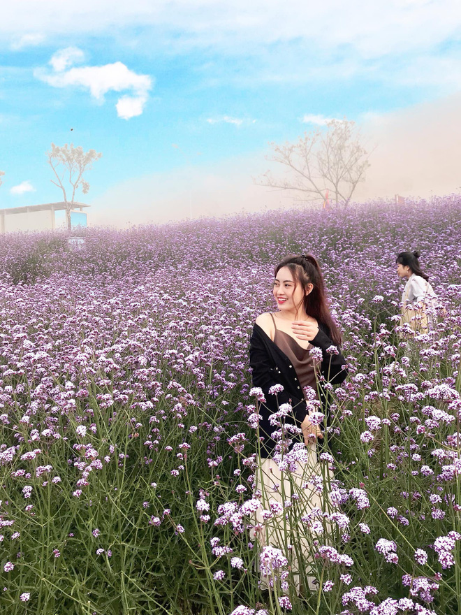 Cựu sinh viên ĐH Kiểm sát Hà Nội xinh chẳng kém gì hotgirl với nụ cười tỏa nắng nhìn là yêu-17