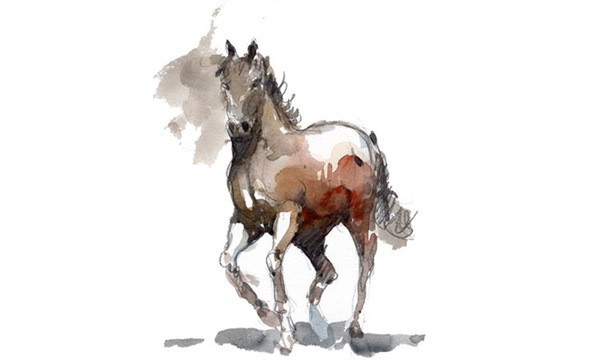 Trong số 12 con giáp, có 5 con giáp thường xuyên được quý nhân phù trợ, làm gì cũng suôn sẻ-1