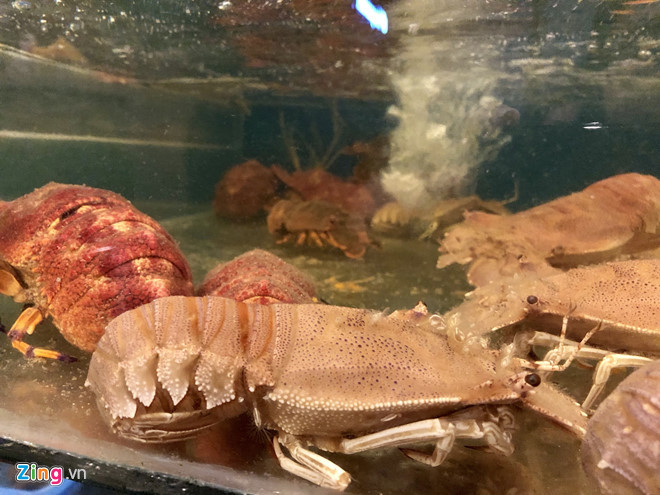 2,2 triệu đồng/kg tôm mũ ni đỏ, khách vẫn ‘săn lùng’-1