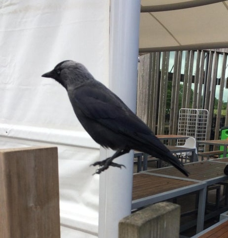 12 bức ảnh bất chấp các định luật Vật lí-9