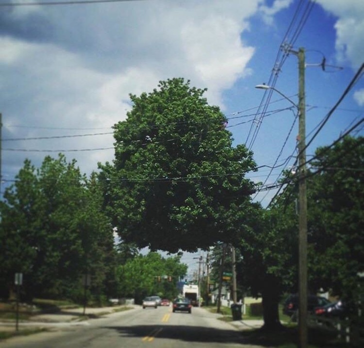 12 bức ảnh bất chấp các định luật Vật lí-12