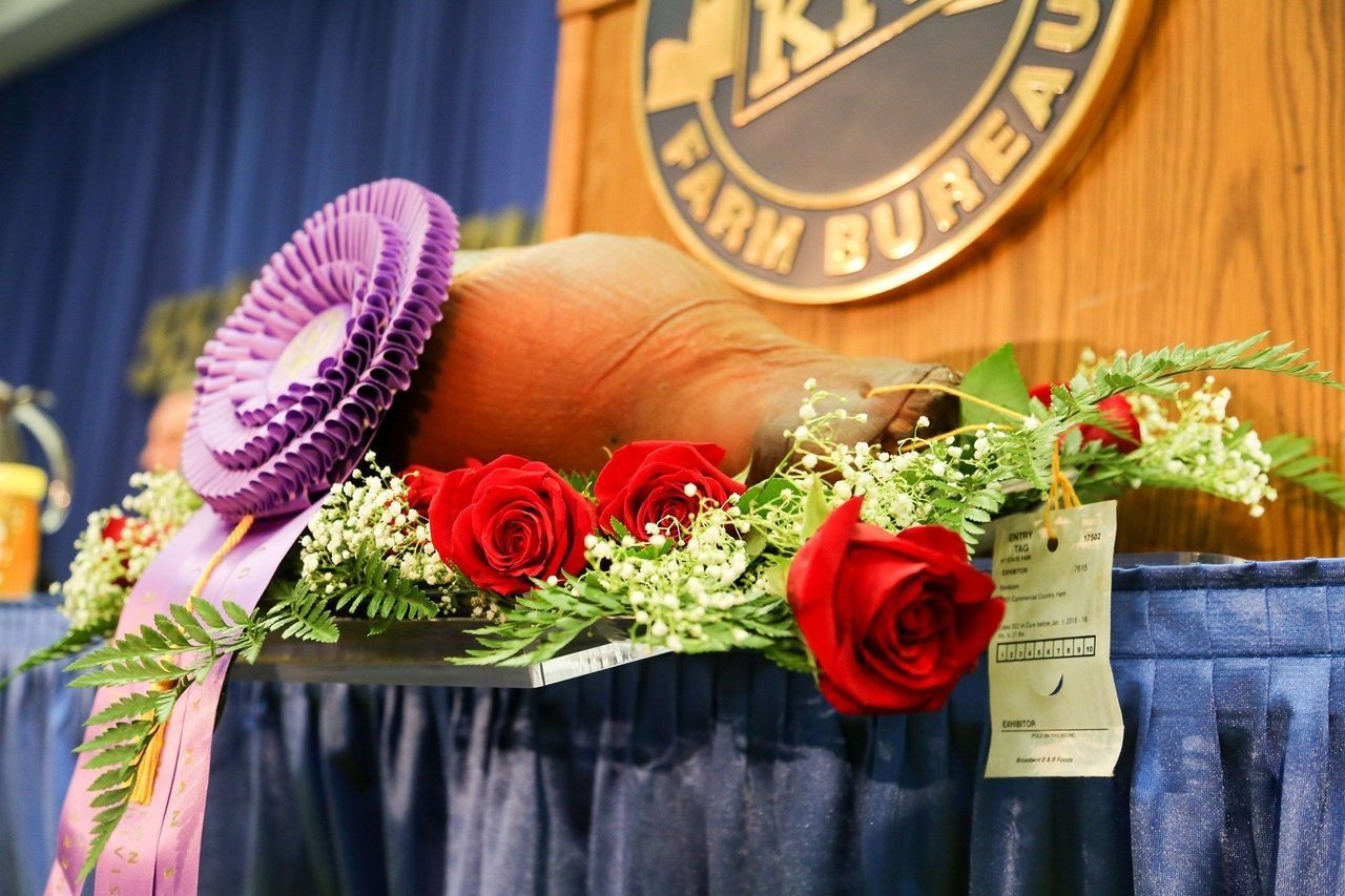 Loại thịt lợn đắt hơn kim cương, giới nhà giàu tranh nhau mua-1