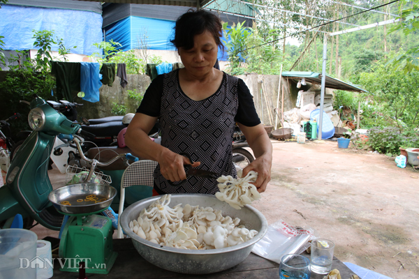 Xắn tay áo lao vào trồng nấm mọc tua tủa, thu 30 triệu/tháng-2
