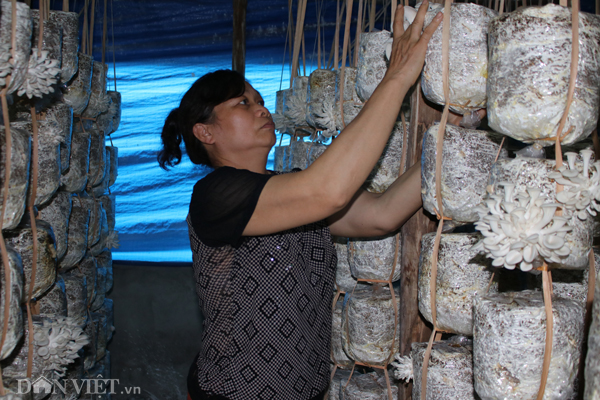 Xắn tay áo lao vào trồng nấm mọc tua tủa, thu 30 triệu/tháng-4