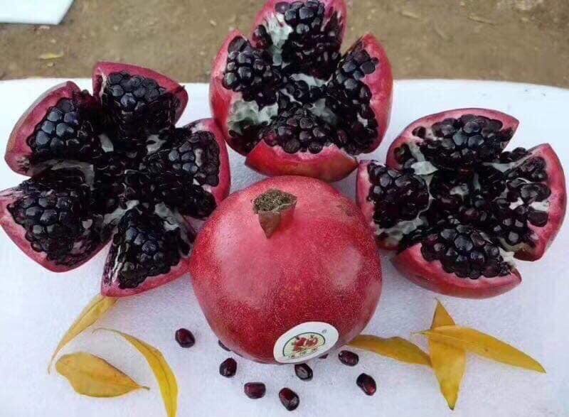 Quả lạ đen thui, quên nỗi sợ hàng Tàu chị em lùng ăn làm đẹp-1