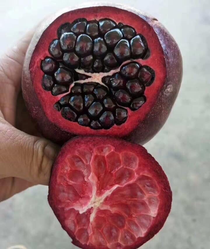 Quả lạ đen thui, quên nỗi sợ hàng Tàu chị em lùng ăn làm đẹp-3