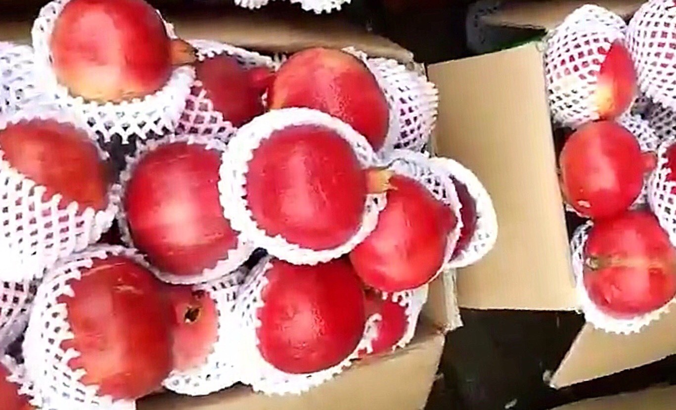 Quả lạ đen thui, quên nỗi sợ hàng Tàu chị em lùng ăn làm đẹp-4