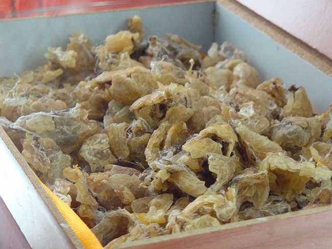 Mỏ vàng trong bụng ếch không ai đoái hoài, giá 1,5 triệu chưa đến 1 lạng-1