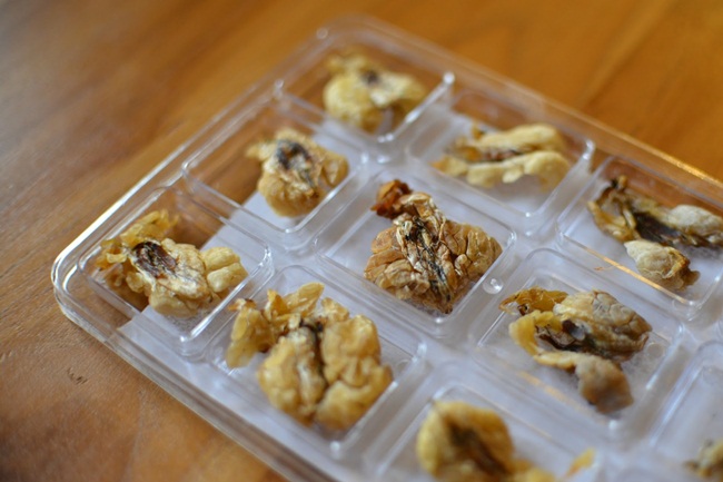 Mỏ vàng trong bụng ếch không ai đoái hoài, giá 1,5 triệu chưa đến 1 lạng-9