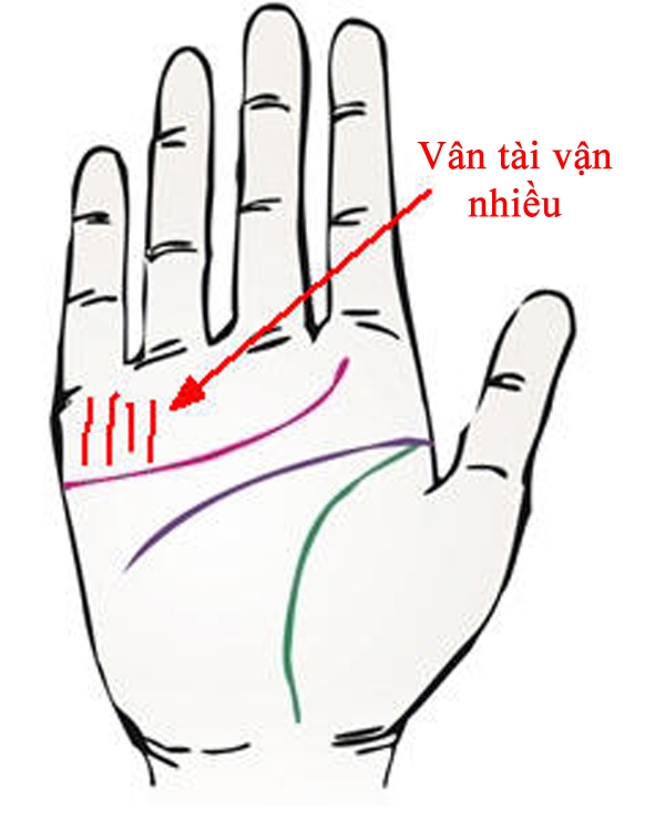 Bỏ 5 giây soi lòng bàn tay, biết ngay ai được Thần Tài phù hộ, hưởng kiếp giàu sang-3