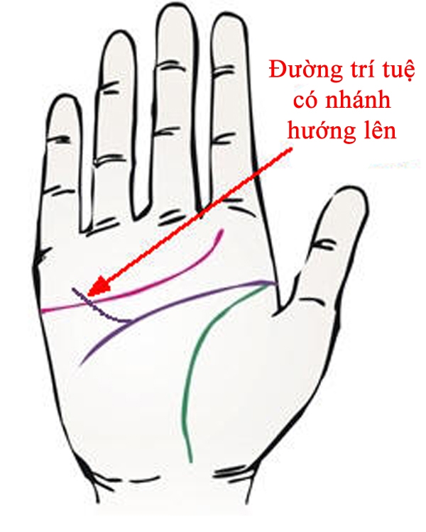 Bỏ 5 giây soi lòng bàn tay, biết ngay ai được Thần Tài phù hộ, hưởng kiếp giàu sang-5