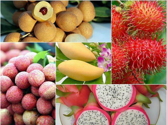 6 loại trái cây tươi ở Việt Nam đã được xuất khẩu thành công với giá bán khó tin-1