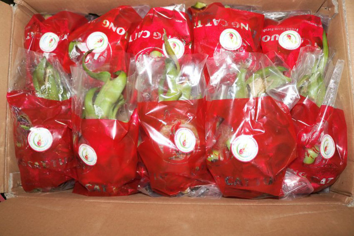 6 loại trái cây tươi ở Việt Nam đã được xuất khẩu thành công với giá bán khó tin-3