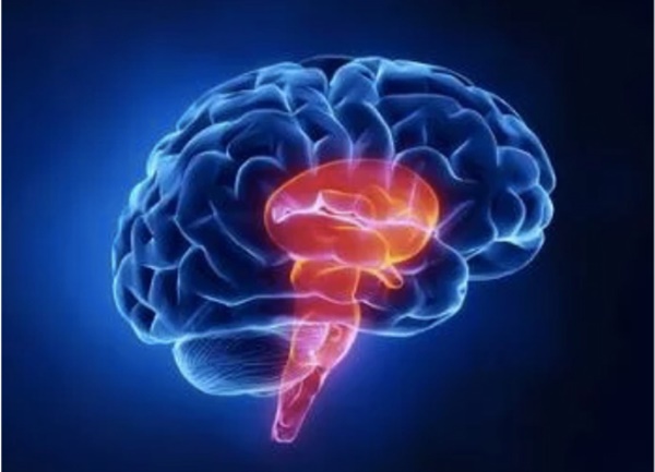 Thói quen trong quan hệ tình dục khiến cô gái 24 tuổi bị nhồi máu não-1