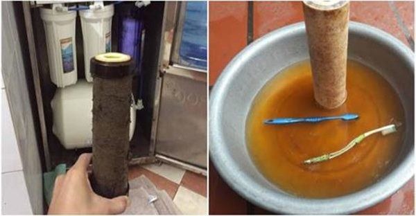 Những hiểu biết sai lầm biến máy lọc nước thành ổ bệnh, bỏ ngay kẻo hại cả nhà-2