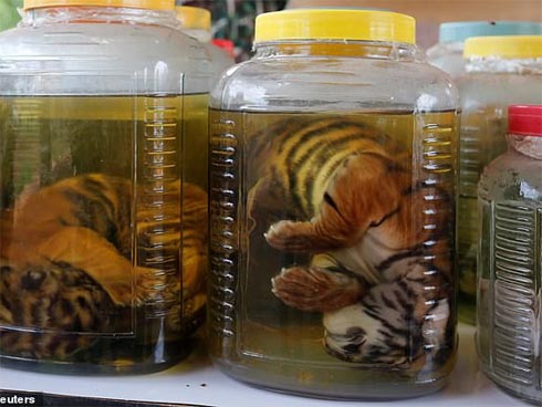 Thảm sát 9 người trong chùa-2