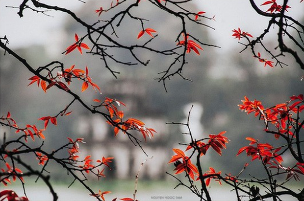 Hà Nội và các tỉnh miền Bắc sắp đón đợt se lạnh đầu tiên-1