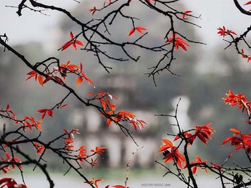 Hà Nội: Rúng động chồng dùng dao sát hại vợ trong lúc ăn cơm-2