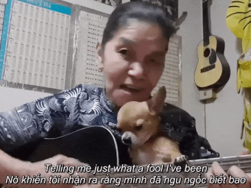 Bức ảnh hài hước nhất ngày: Giữa lễ cưới chú rể phải bồng bế thú cưng để mẹ đẻ đeo trang sức cho vợ-4