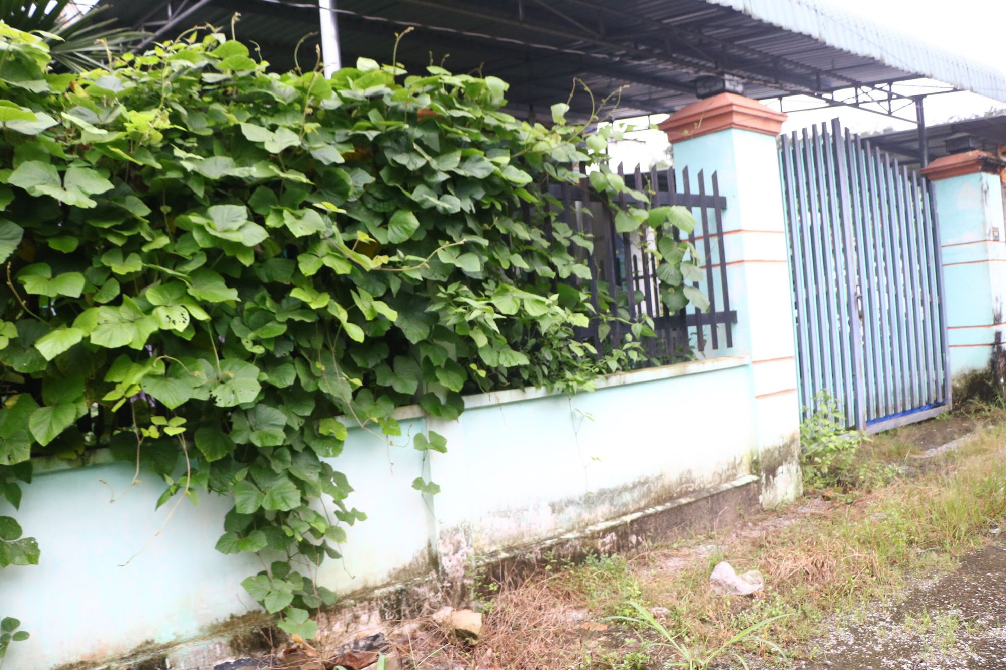 Đang thực nghiệm hiện trường vụ 2 xác người bị đổ bê tông trong thùng phuy ở Bình Dương-7