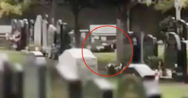 Nhức mắt cặp đôi diễn cảnh nóng ngay trong nghĩa trang, biết có người nhìn vẫn mặc kệ-1