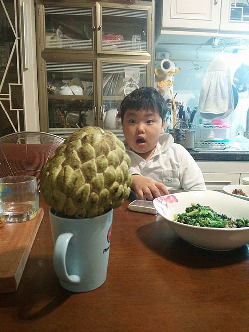 Cận cảnh cơ ngơi hoành tráng của nghệ sĩ hài Xuân Bắc-14