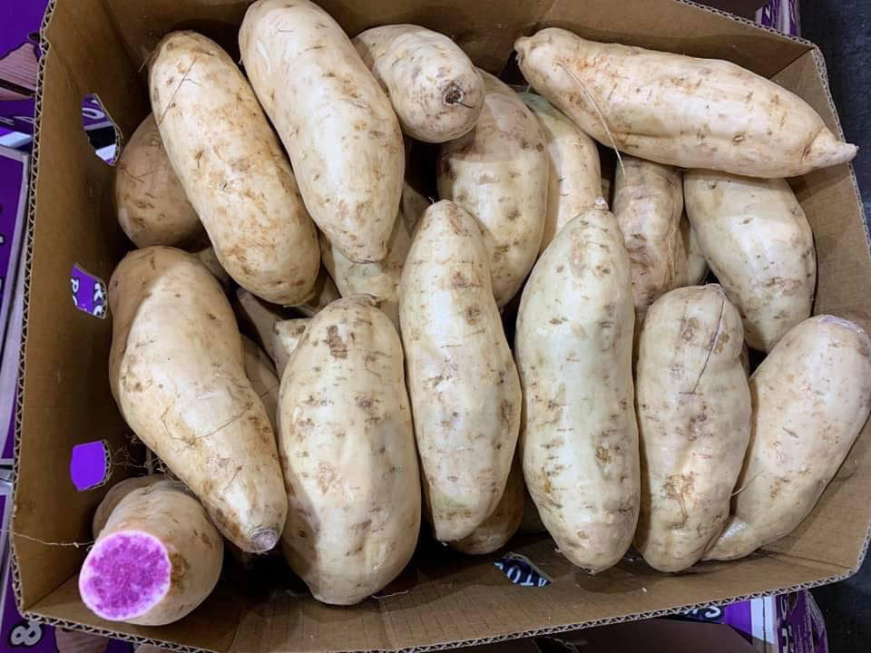 Tin lời phòng chống ung thư, ăn khoai lang tím Úc giá đắt gấp 20 lần-2