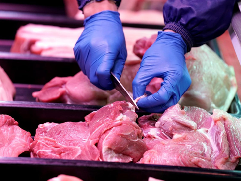 Giống lợn ăn nhân sâm, đông trùng hạ thảo,... giá 6,5 triệu đồng/kg-5