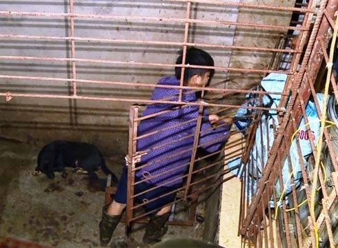 Cận cảnh căn hầm 