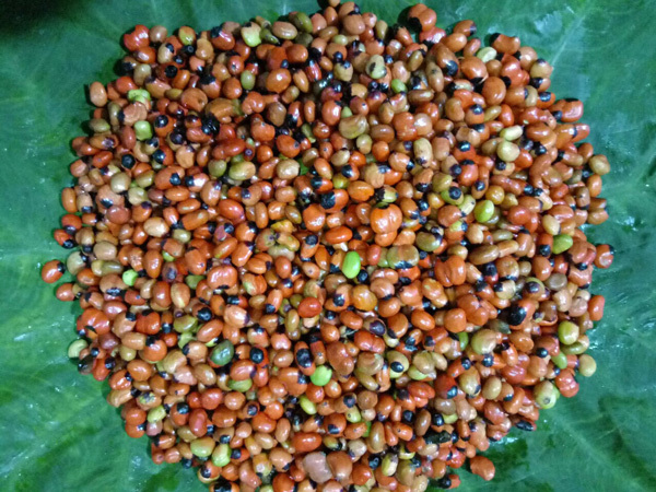 Hơn trăm nghìn một hạt bé tẹo, muốn mua cũng khó-2