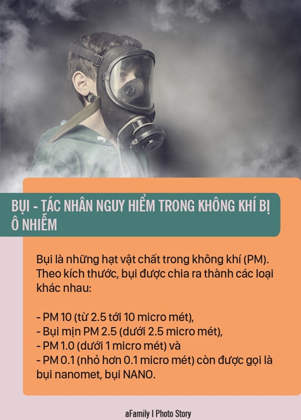 Ô nhiễm không khí - Kẻ giết người thầm lặng và những đối tượng bị ảnh hưởng nhiều nhất-6