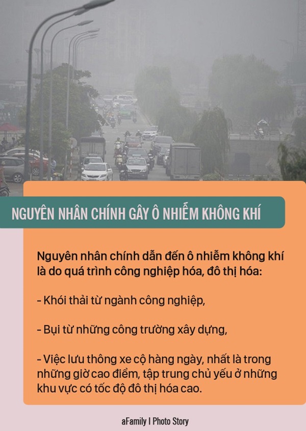 Ô nhiễm không khí - Kẻ giết người thầm lặng và những đối tượng bị ảnh hưởng nhiều nhất-9
