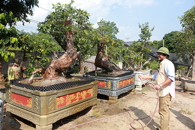 Cặp Tiên đồng ngọc nữ giá tiền tỷ của ông vua mai vàng Yên Tử-2