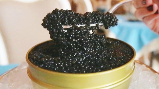 Nuôi con 5 năm mới rõ giới tính rồi lấy trứng bán giá 800 triệu/kg-11