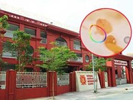 Trước khi bị tố suất ăn trưa lèo tèo vài miếng, Trường Quốc tế Việt Úc còn bị phát hiện có giòi trong thức ăn