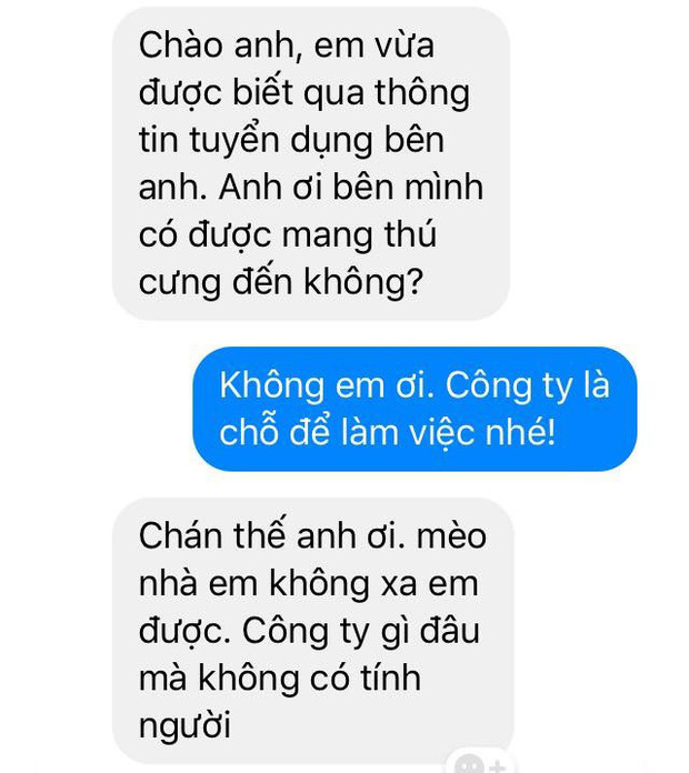 Nhà tuyển dụng tiết lộ những màn chào hỏi cực éo le, giờ thì hiểu vì sao nhiều bạn trẻ mãi chẳng xin nổi việc!-5