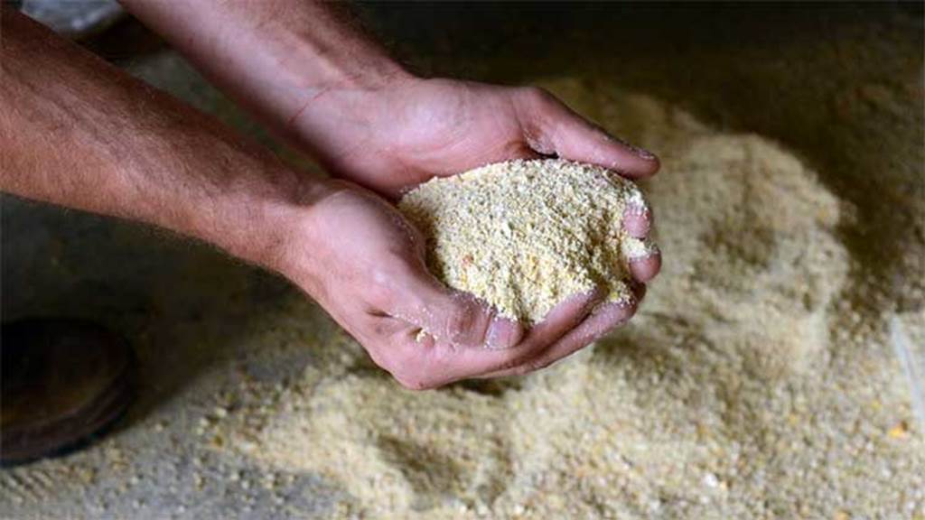 Gà quốc bảo dành cho nhà cực giàu, thịt ngon và đẳng cấp thế nào?-7