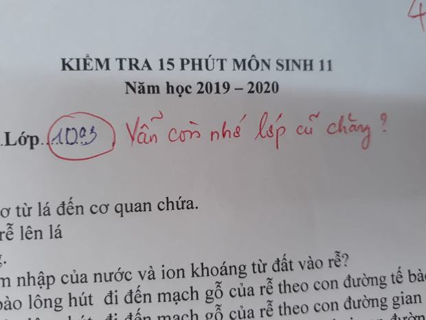 Cô giáo thu về 50 nghìn like chỉ nhờ một lời phê vài bài kiểm tra, đọc vào mới biết lỗi này trò nào cũng mắc phải đôi ba lần-1