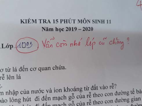 Ngã ngửa trước đề Ngữ văn siêu tiết kiệm một mặt cười” của giáo viên, học sinh shock vì không biết bắt đầu từ đâu-3