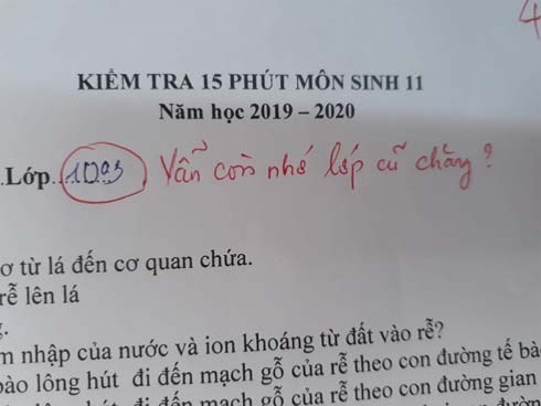 Cô giáo thu về 50 nghìn like chỉ nhờ một lời phê vài bài kiểm tra, đọc vào mới biết lỗi này trò nào cũng mắc phải đôi ba lần