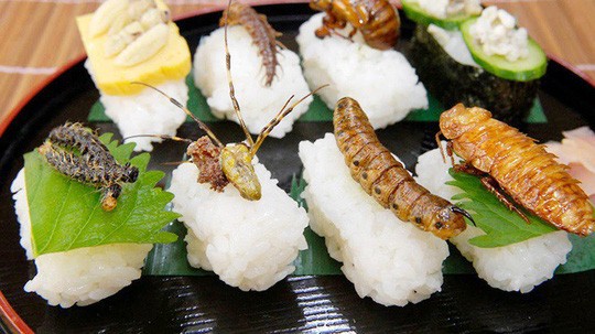 Côn trùng được phục vụ tại khách sạn 5 sao như đặc sản-1