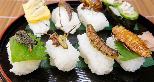 Côn trùng được phục vụ tại khách sạn 5 sao như đặc sản-5